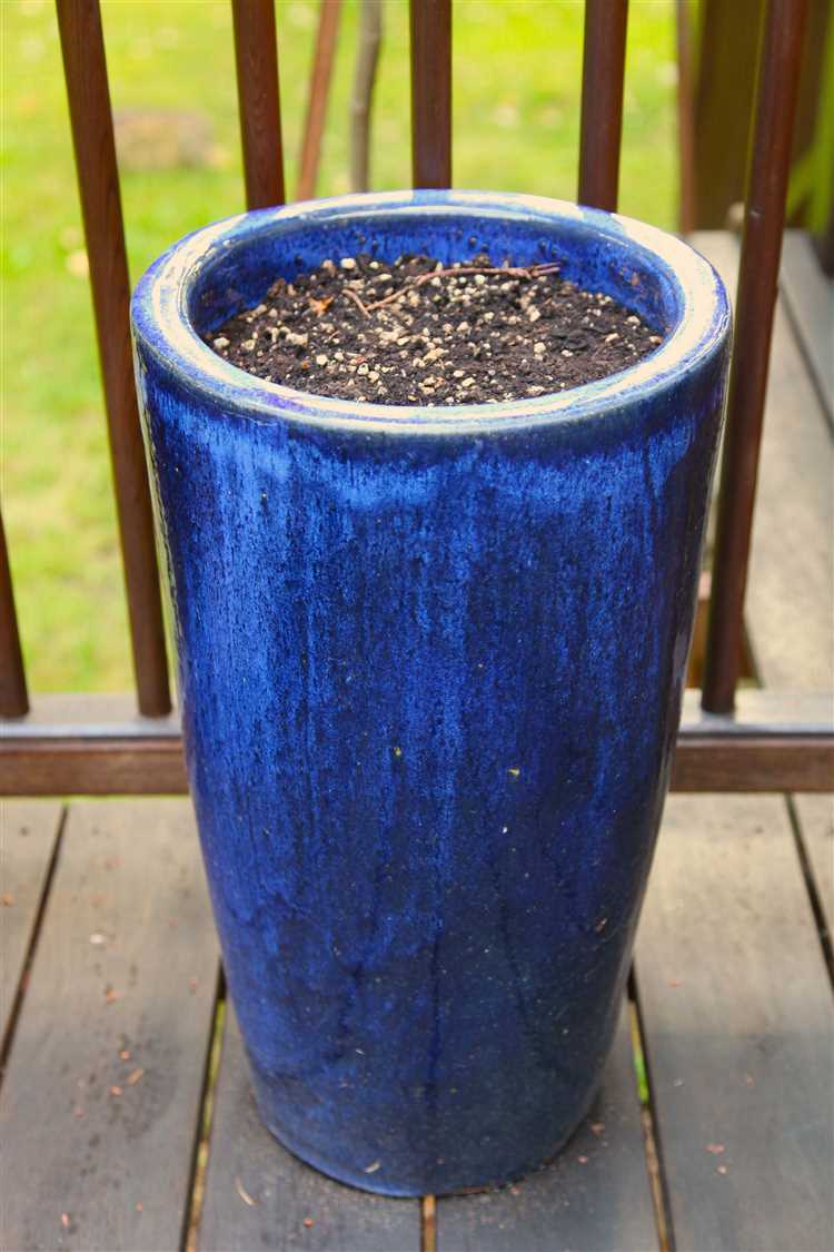 Using Styrofoam in Planters: The Pros and Cons