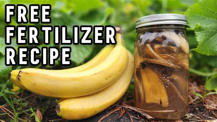 Plants That Thrive With Banana Water: A Comprehensive Guide